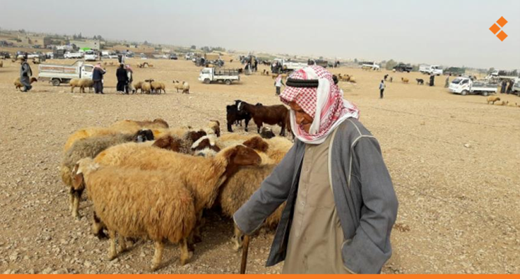 أربعة ضحايا بهجوم على مربي مواشي جنوب الرقة