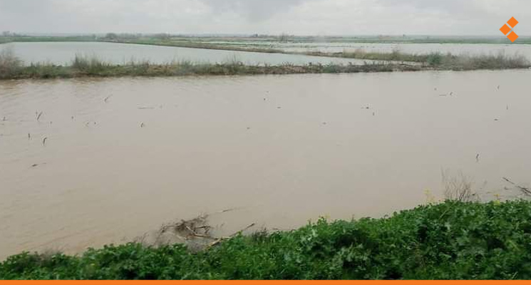 تقارير مديرية زراعة دير الزور تكشف الأضرار التي تسبب بها المنخفض المطري غير المسبوق