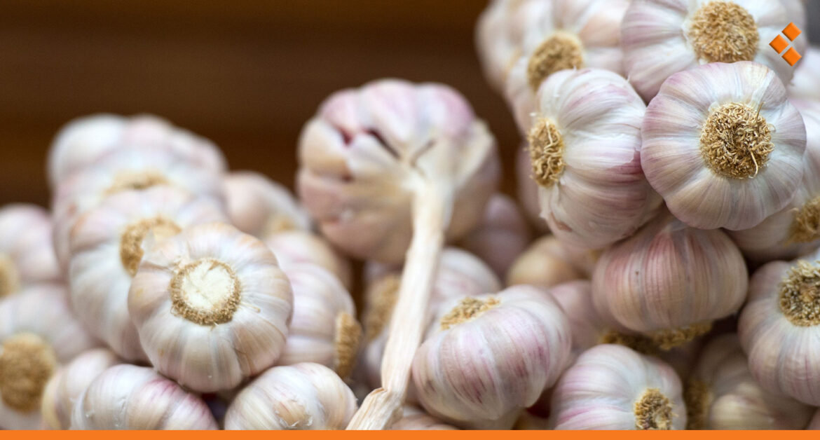 انخفاض إنتاج الثوم يرفع سعر الكيلو لأكثر من 60 ألف في أسواق دمشق