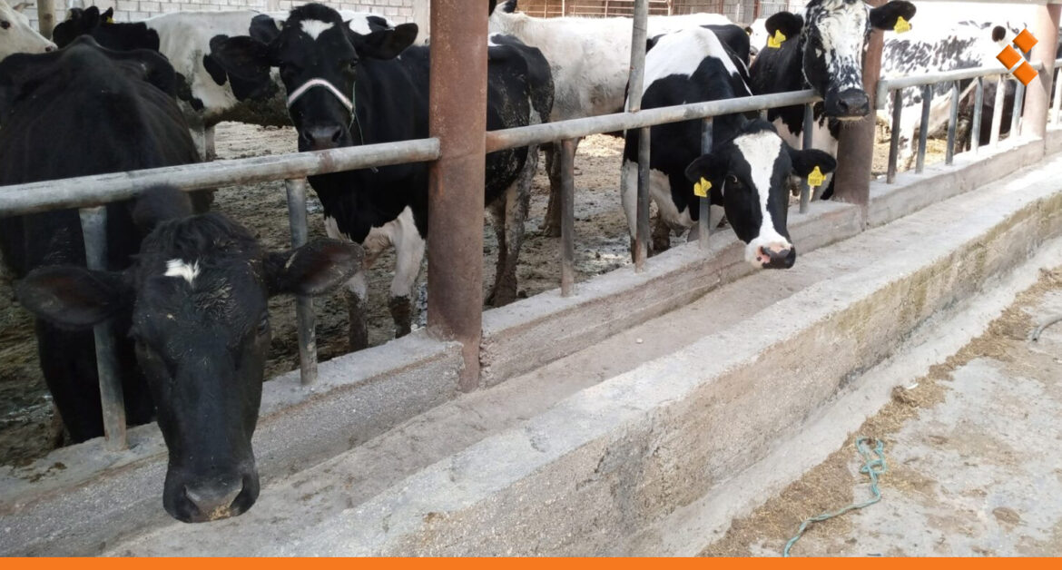 مجمع "مباقر" مسكنة في حلب يعود للخدمة بعد توقف دام 9 سنوات