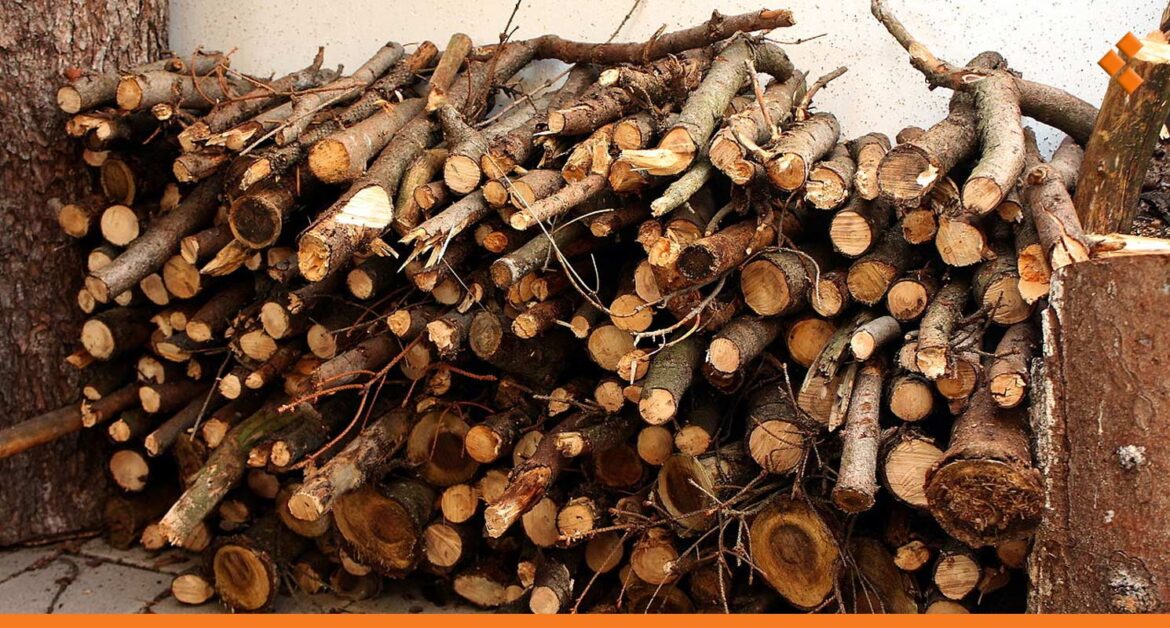 حطب اللاذقية يغزو ريف دمشق رغم التشريعات وقوانين الحدّ من التعديات