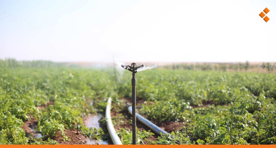 وزارة الزراعة: تخفيض "إنتاج الغراس" هذا العام لعدم وجود مساحات كبيرة للتشجير في سوريا