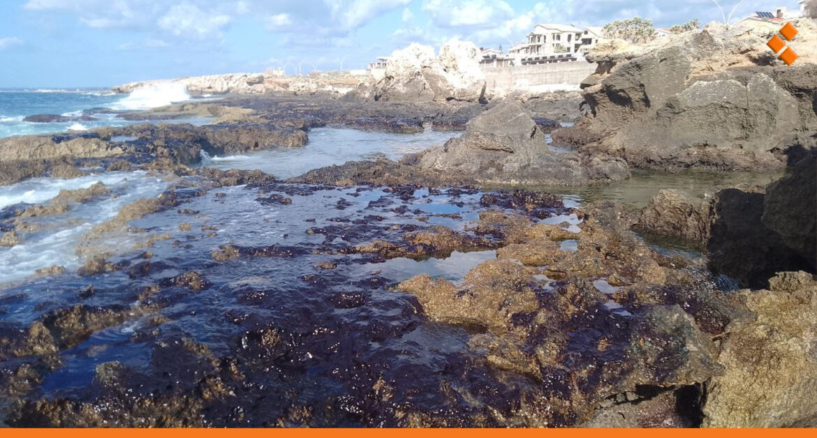 جاءت من خارج سوريا.. مدير عام الموانئ لـ"أثر": البقع النفطية عند شاطئ جبلة تشتت