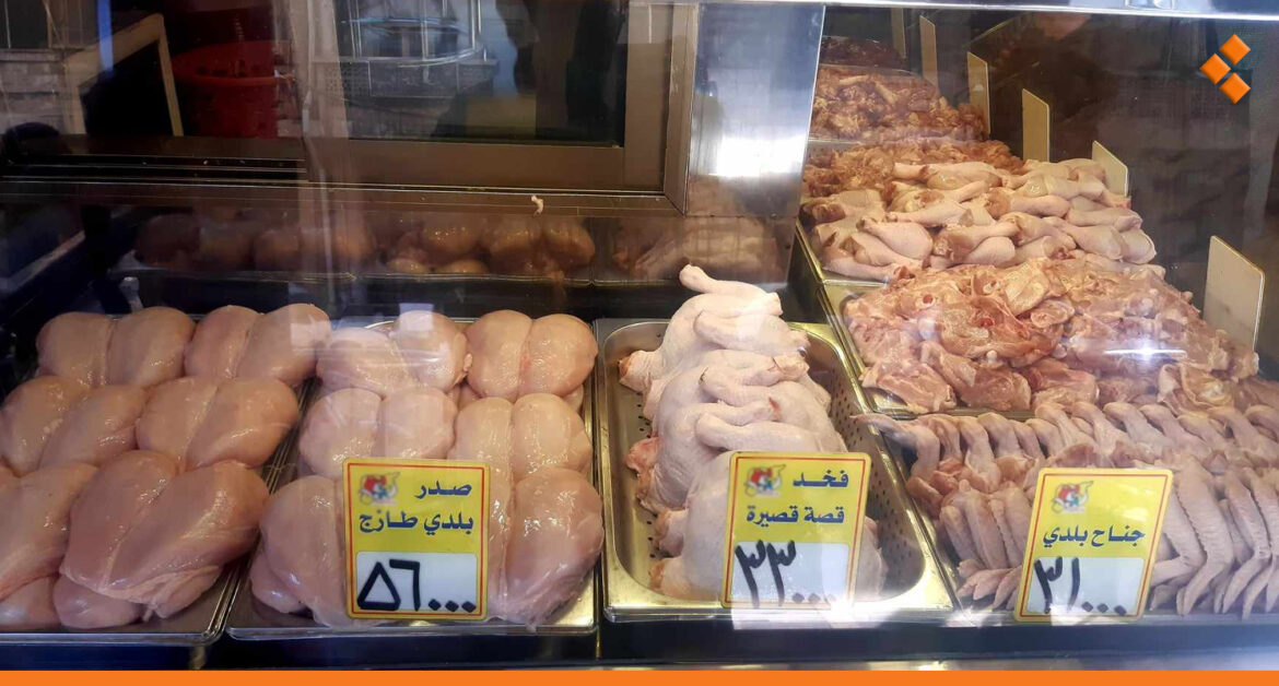 انخفاض أسعار الفروج والبيض.. كيلو الشرحات يتراجع لـ 55 ألف وسطياً