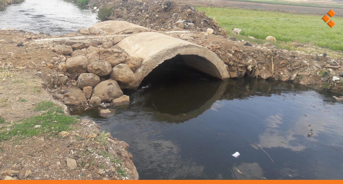 مزروعات تسقى بمياه سوداء في ريف دمشق.. الزراعة: نظمنا ضبوط