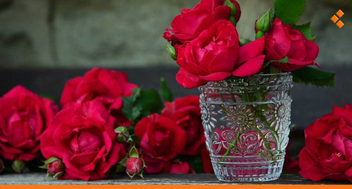 سعرها بجبلة 6 آلاف وفي دمشق 15 ألف.. عيد الحب ينعش زراعة الورد الجوري في الساحل