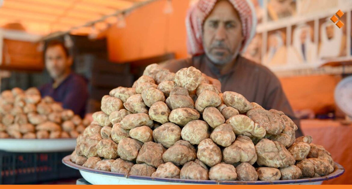 موسم الكمأة بدأ.. توقعات بأن يصل سعر الكيلو لنصف مليون ل.س هذا العام