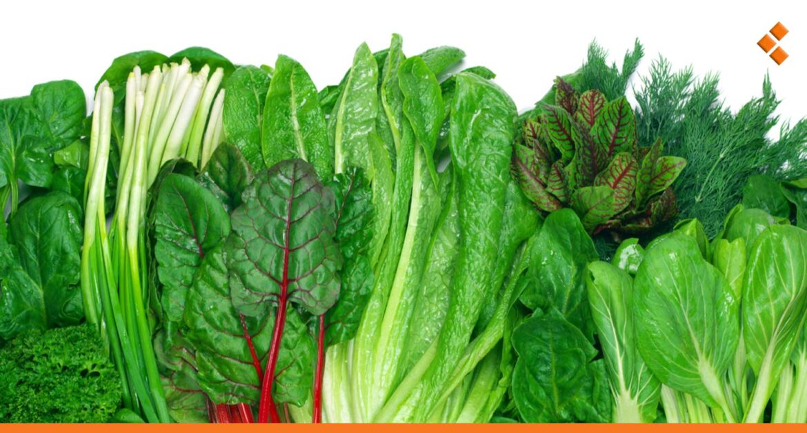 شهر رمضان يرفع أسعار الخضار الورقية في أسواق دمشق!