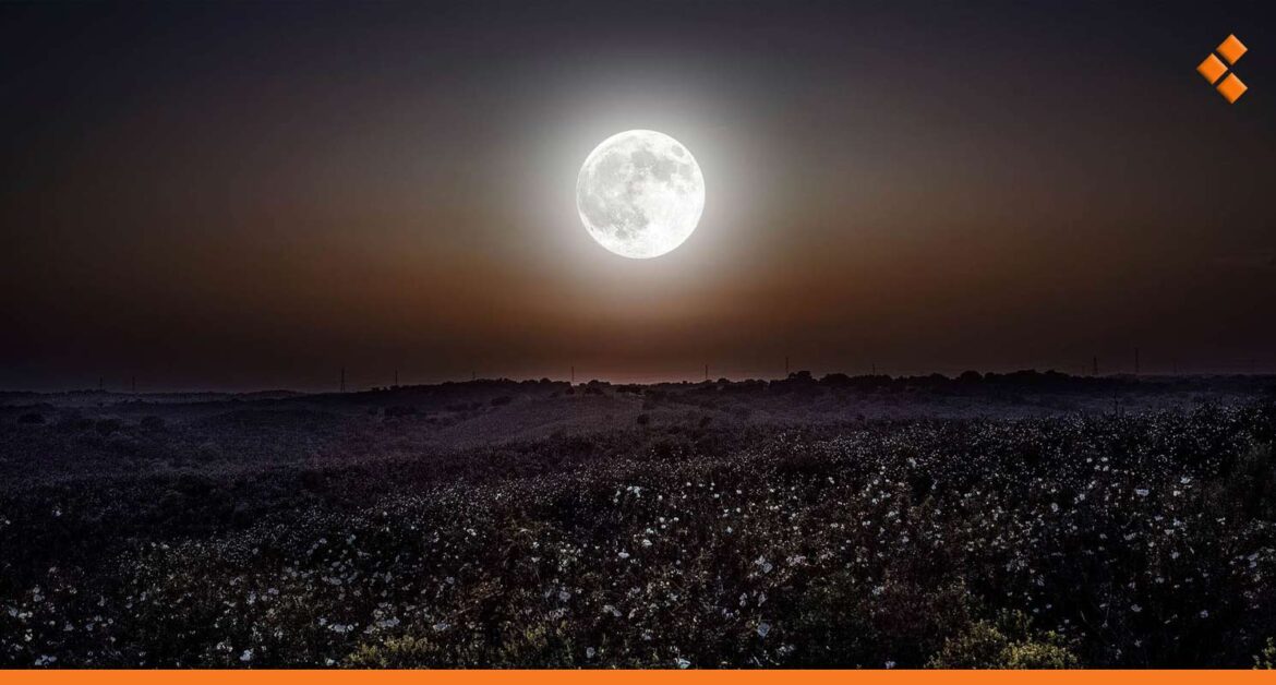 الجمعية الفلكية: ظاهرة "المايكرومون" سترافق الخسوف ويمكن مشاهدتها في سوريا