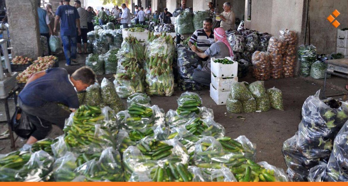 رئيس سوق هال حماة: انخفاض أسعار بعض الخضار والسوق في جمود