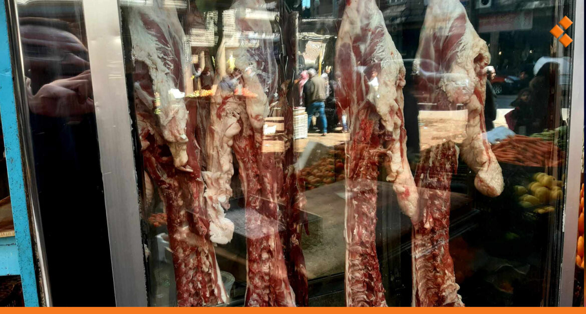 انخفاض أسعار اللحوم بأسواق المواشي في حماة دون انخفاضها لدى اللحامين!
