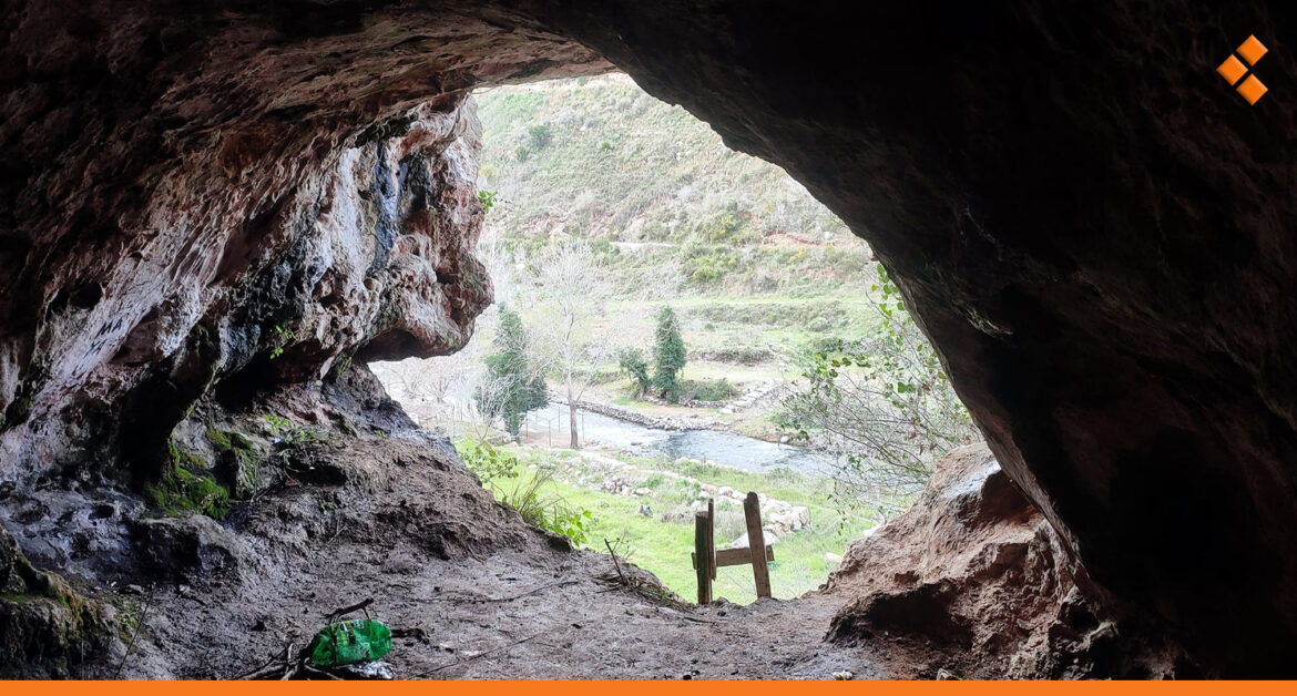 طرطوس.. لجنة مختصة تستعين بكلاب مدربة لاقتفاء أثر "قيس الزرزور"