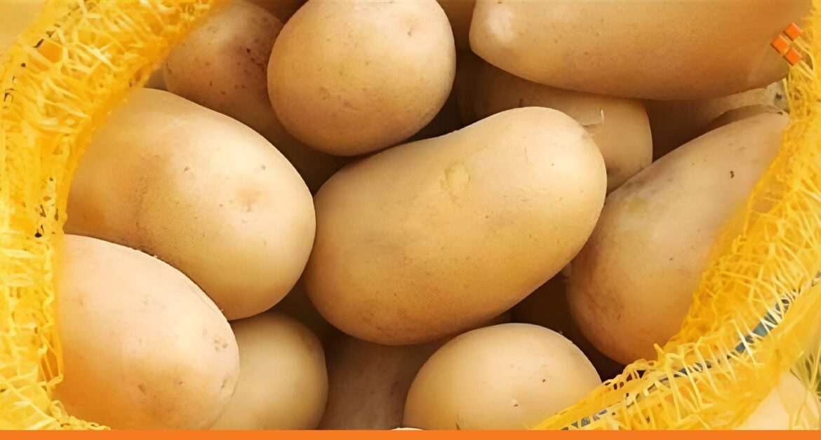 30 ألف طن من البطاطا المصرية ستدخل دمشق خلال 15 يوم وتؤثر في الأسعار