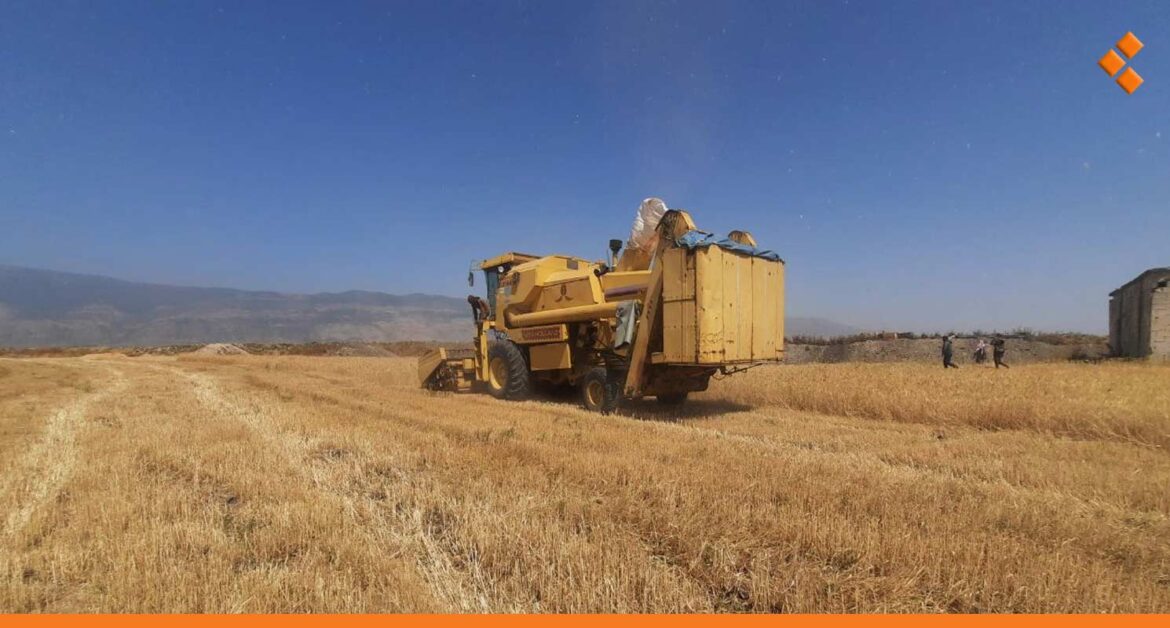 إعادة توزيع المازوت الزراعي في حماة.. مدير الزراعة: 800 فلاح لا يستحقونه!