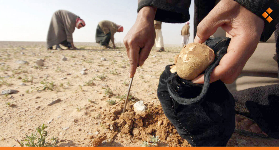 حصيلة ضحايا فطر الكمأة تتجاوز الـ60 شخصاً منذ بداية شباط الفائت