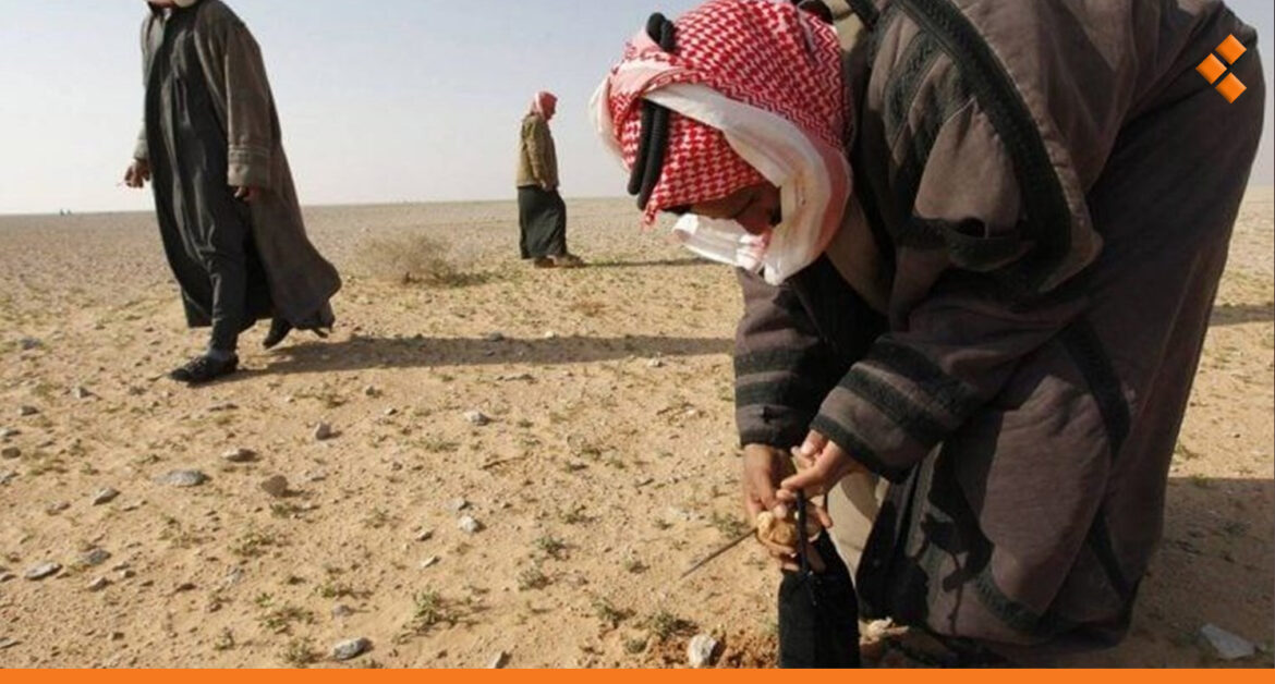 31 ضحية خلال الشهر الأول من موسم "الكمأة"