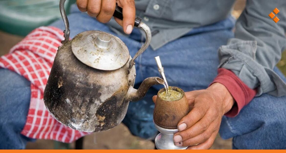 شح توزيع المتة في طرطوس يرفع أسعارها ويدفع بالأهالي للطوابير