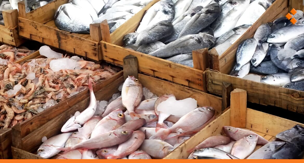 انخفاض عدد صيادي اللاذقية يرفع أسعار الأسماك في بداية موسمها.. "الفريدي بـ 300 ألف"!