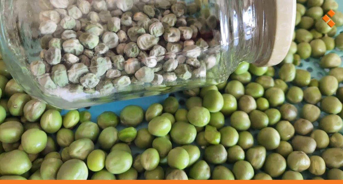 التجفيف بدلاً من التفريز.. سوريات يلجأن لطرق المونة القديمة استعداداً لانقطاع الكهرباء