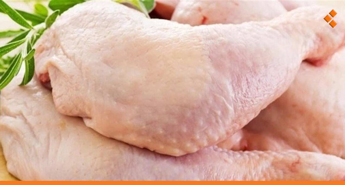 مدير مؤسسة الدواجن لـ"أثر": أسعار الفروج ستنخفض بعد عيد الفطر