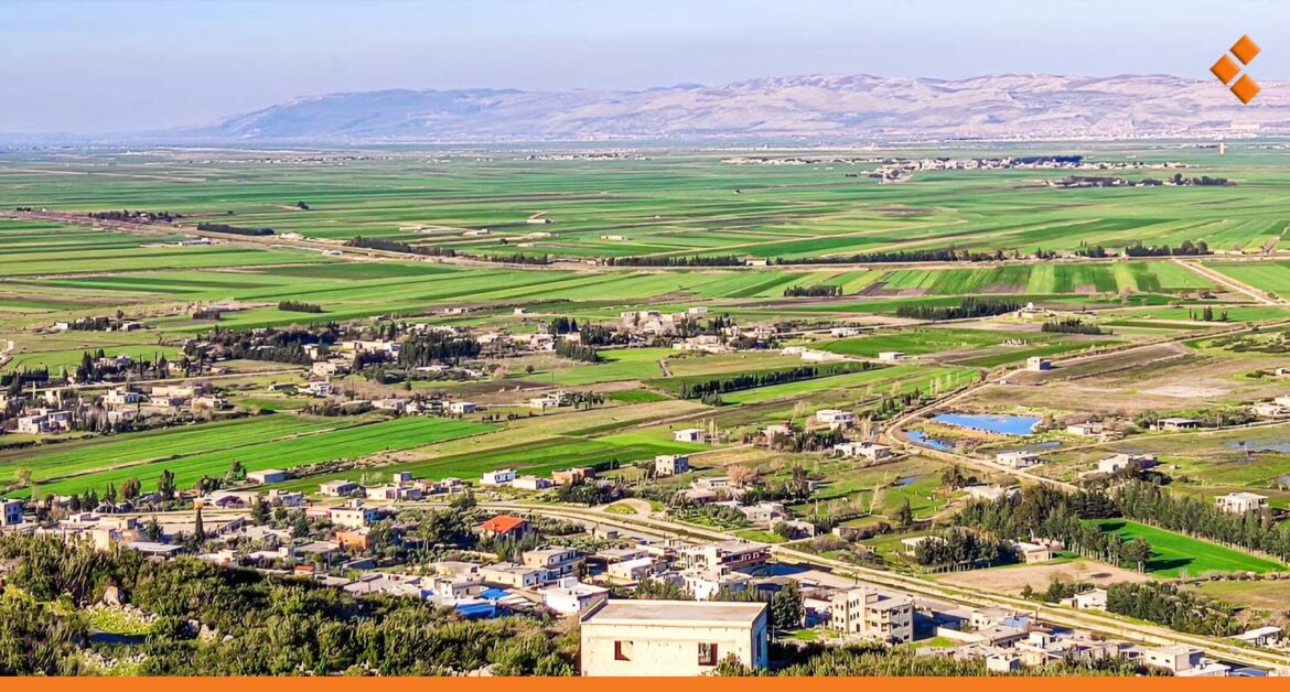 أمطار الغاب تزيد زراعة الخضار والبقوليات والنباتات العطرية والطبية