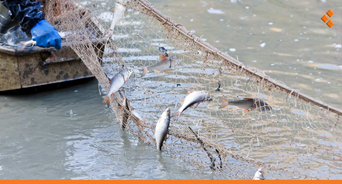 في موسم منع الصيد.. مصادرة أكثر من 70 شبكة في حمص