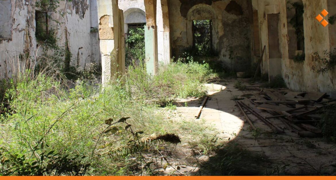 أهالي دمشق القديمة يشكون خروج حشرات وقوارض من المنازل المهجورة