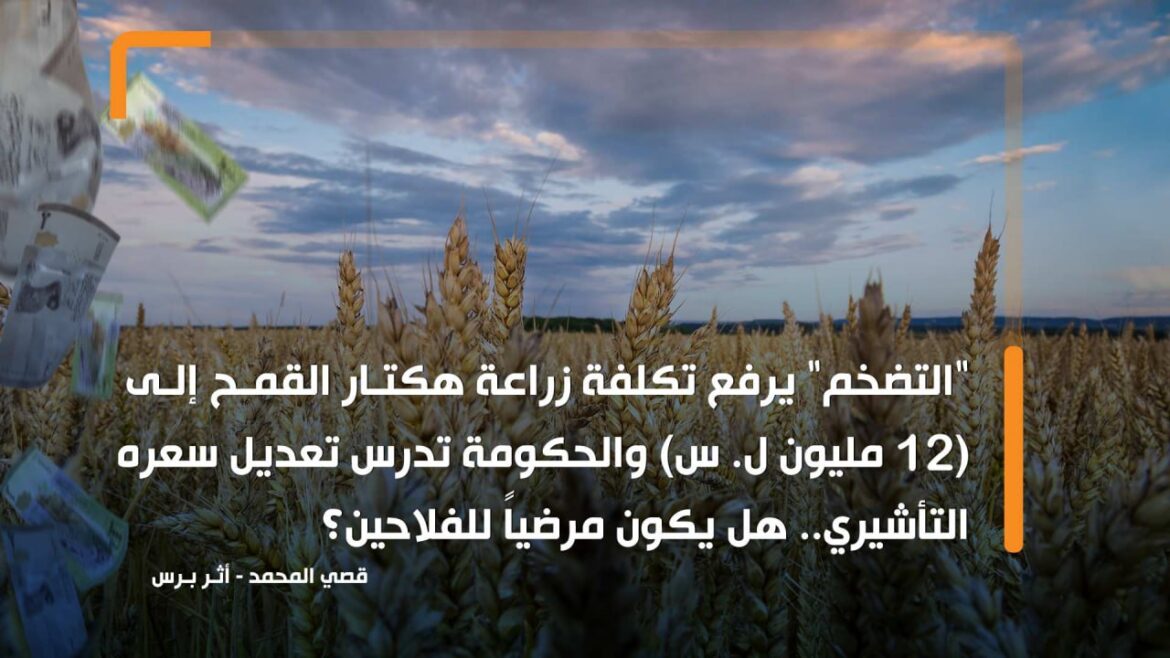 تعديل أسعار القمح على طاولة الحكومة.. مصادر لـ"أثر": المقترح 5400 ليرة سورية حالياً