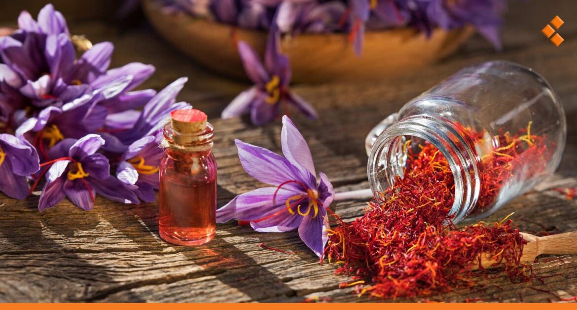 غرام الذهب الأحمر بـ 35 ألف في حمص.. إنتاج سوريا من الزعفران يصل لـ 20 كغ