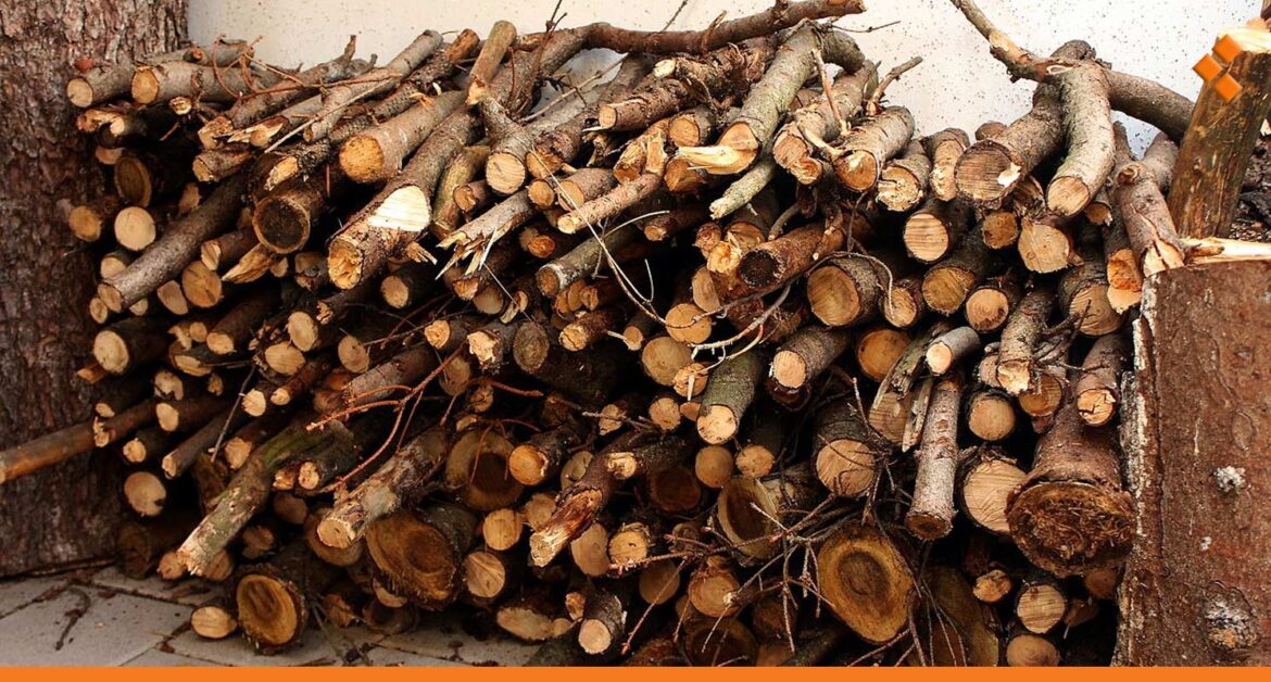 أهالٍ في ريف دمشق يجهزون مؤونة الحطب للشتاء.. كم بلغت الأسعار هذا العام؟