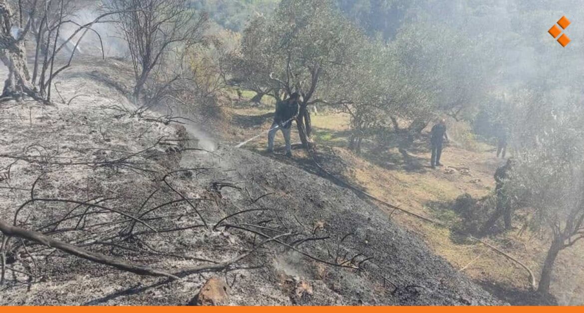 25 حريقاً في اللاذقية خلال يومين