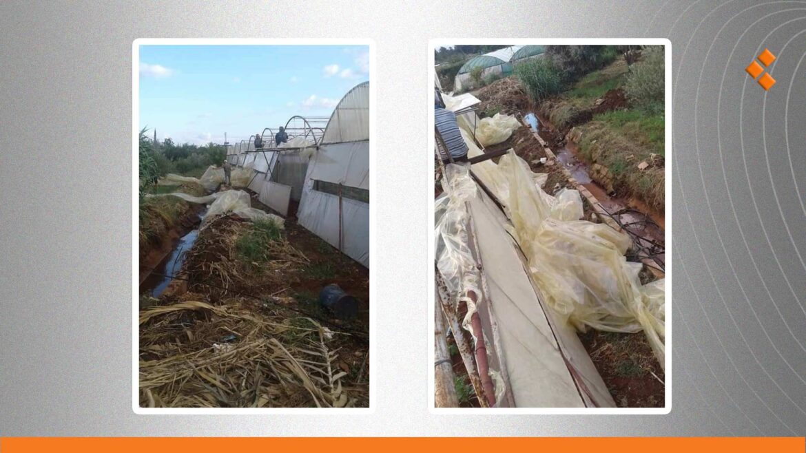 تضرر 30 بيتاً بلاستيكياً نتيجة تنين بحري ضرب قرية في بانياس