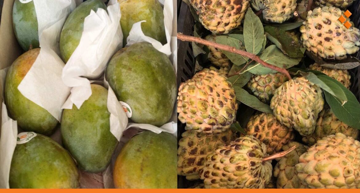 الحرب منعت تصريف الفائض منها في لبنان.. الفواكه اللبنانية تغزو الأسواق السورية