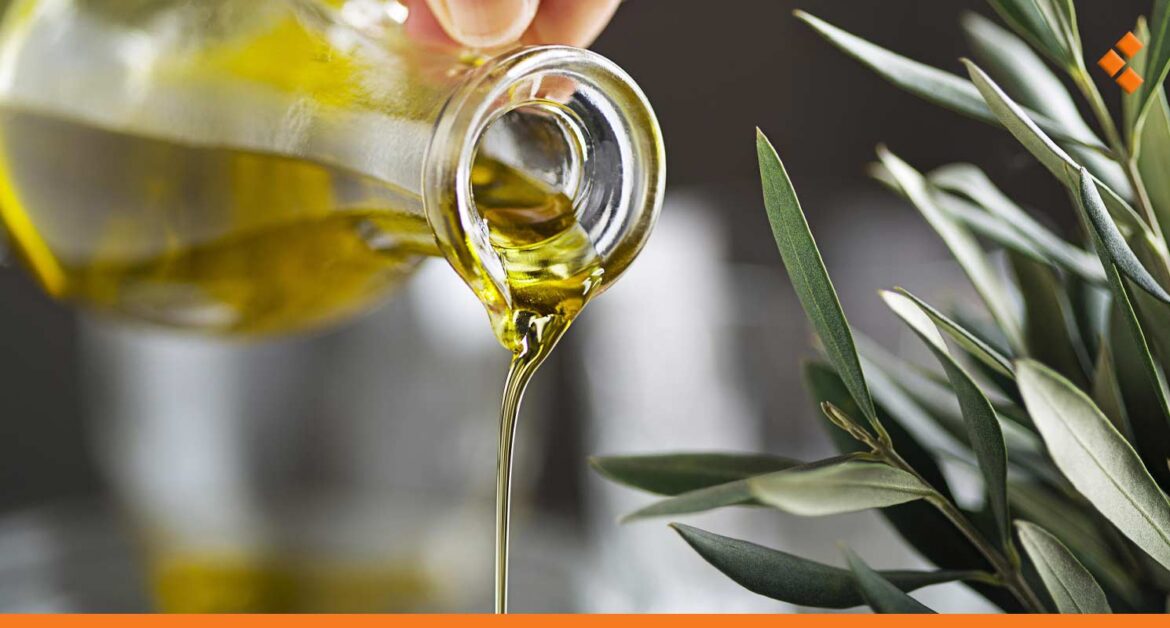 بيدون زيت الزيتون بـ 1.2 مليون ل.س في بداية موسمه.. هل يرتفع سعره بعد "التصدير"؟