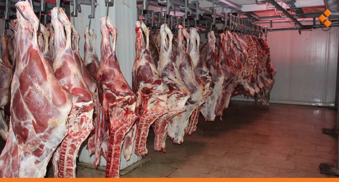 بنحو 20 %.. انخفاض أسعار لحوم الأغنام الحية بسبب توقف تهريبها إلى لبنان