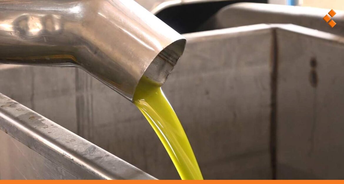 طرطوس.. "جفت الزيتون" يلوث مياه مشروع بئر تيشور والبحث جارٍ عن المعصرة المخالفة