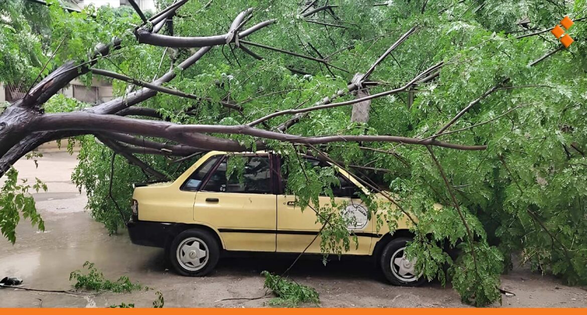 الجمعية الفلكية محذرةً من التطرف المناخي: يجب أن نعتاد على اقتلاع الأشجار والفيضانات