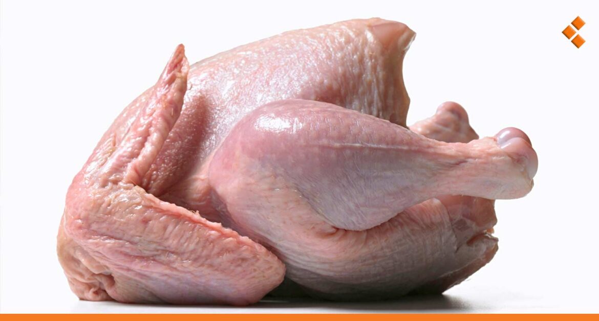 توقعات بارتفاع أسعار الفروج خلال الشتاء ومطالب باستيراد الفحم الحجري لتدفئة الدواجن