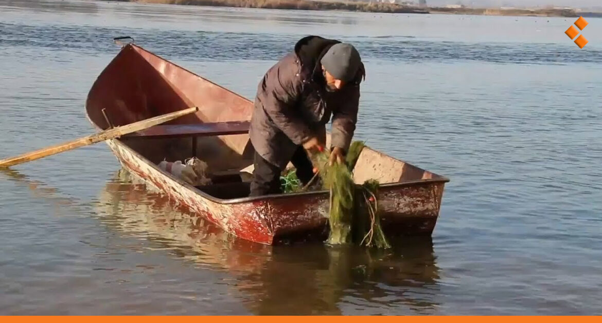 "قسد" تفرض قيود على صيد الأسماك في نهر الفرات
