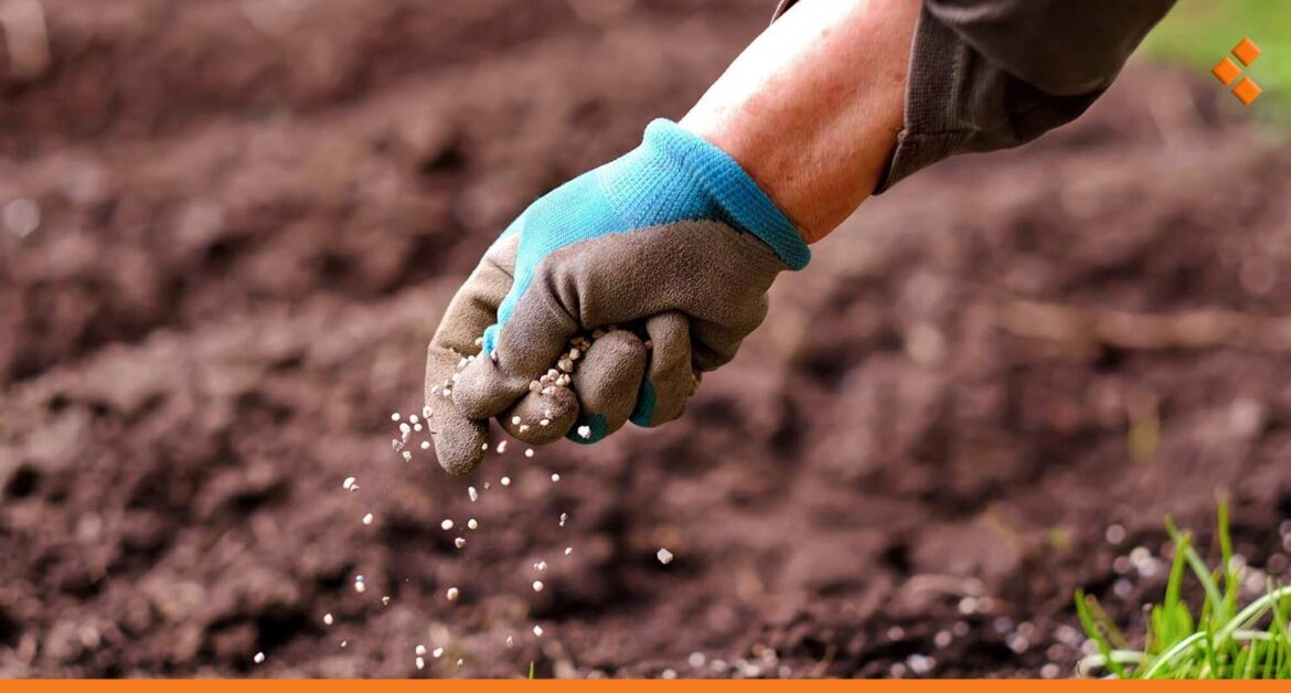 مع بداية موسم الزراعة الشتوي.. مزارعو الساحل يطالبون بزيادة نسب توزيع الأسمدة