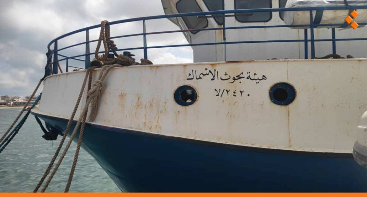 وسط تحذيرات من خطر على البيئة البحرية.. سوريا تبدأ بدراسة التبدلات على مياه البحر