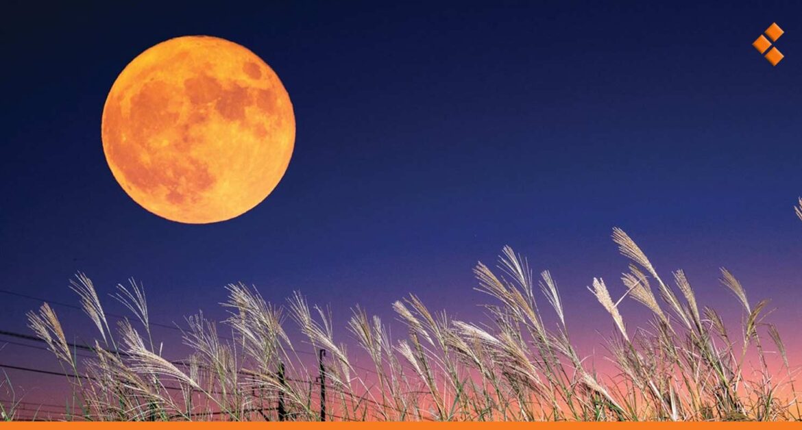 قمر "الحصادين" ينير سماء سوريا اليوم