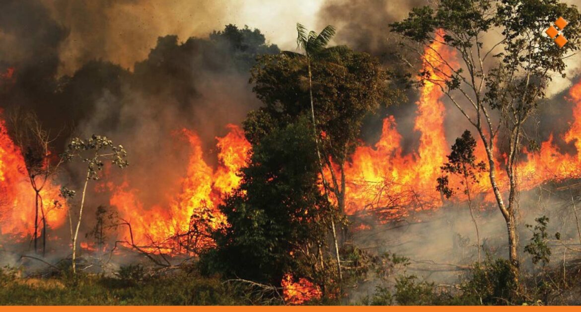 ريف طرطوس.. وفاة رجل أثناء محاولته إخماد حريق ضمن أراضٍ زراعية