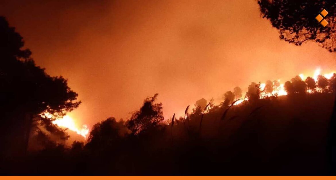 حرائق اللاذقية.. حريق البدروسية في خواتيمه والمباشرة بإخماد حريقين في القرداحة والحفة