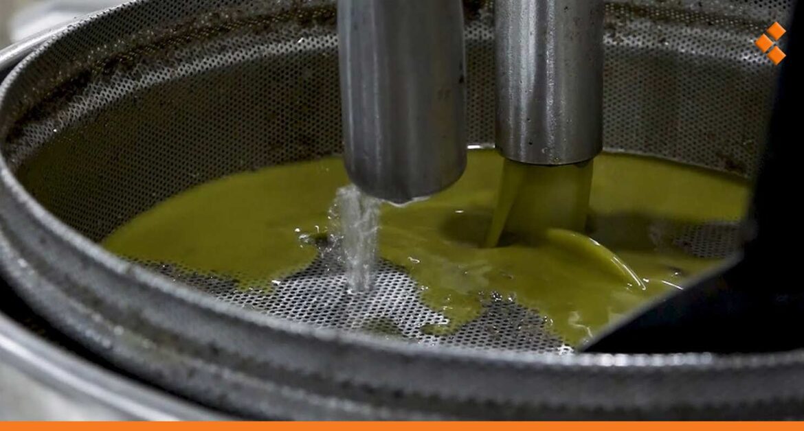 بسبب العرجوم.. مخالفة 6 معاصر زيتون في جبلة