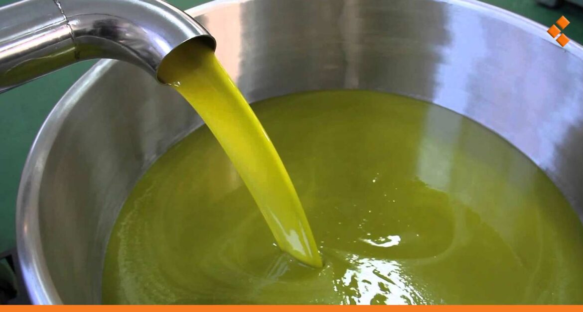 لتلويثها البيئة.. جرد معاصر الزيتون في طرطوس وإيقاف المخالفة منها الموسم القادم