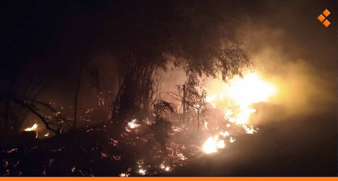 موزعة بين زراعي وحراجي.. إخماد 23 حريقاً خلال يوم واحد في اللاذقية
