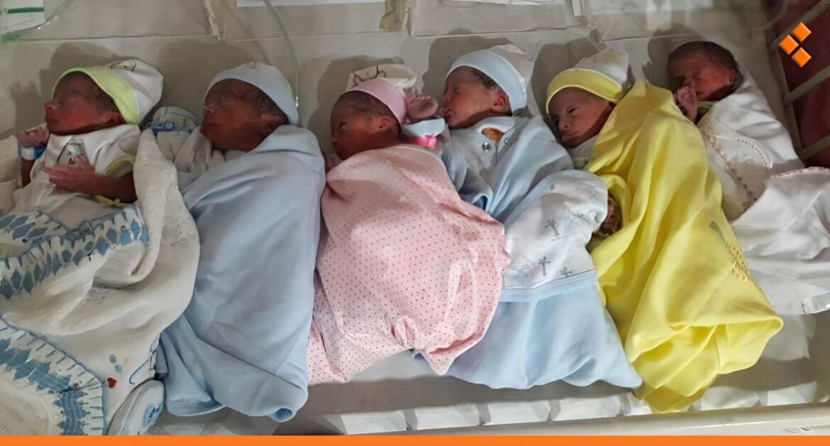 بعد 11 عاماً من العقم.. سيدة تضع 6 توائم في حماة (الصورة تعبيرية)