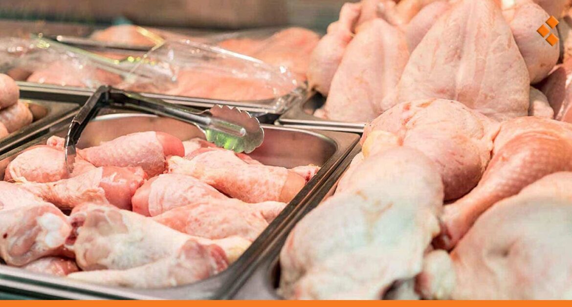 غرفة زراعة دمشق لـ"أثر": سعر البيض والفروج في سوريا أرخص من دول الجوار