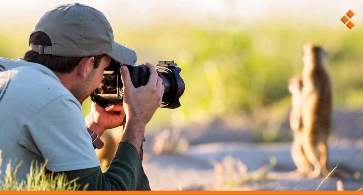 بكاميرات بسيطة.. سوريون يوثّقون الطبيعة ويطالبون بـ"جمعية لمصوري الحياة البرية"